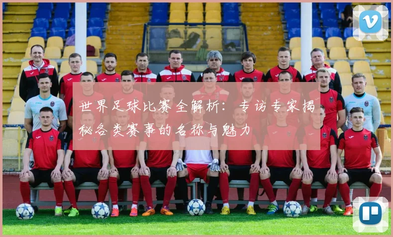 世界足球比赛全解析：专访专家揭秘各类赛事的名称与魅力